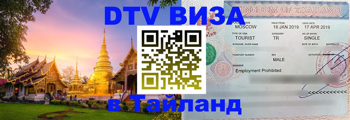 Сколько стоит DTV виза — актуальные цены, оформление даже без документов - Вологда 